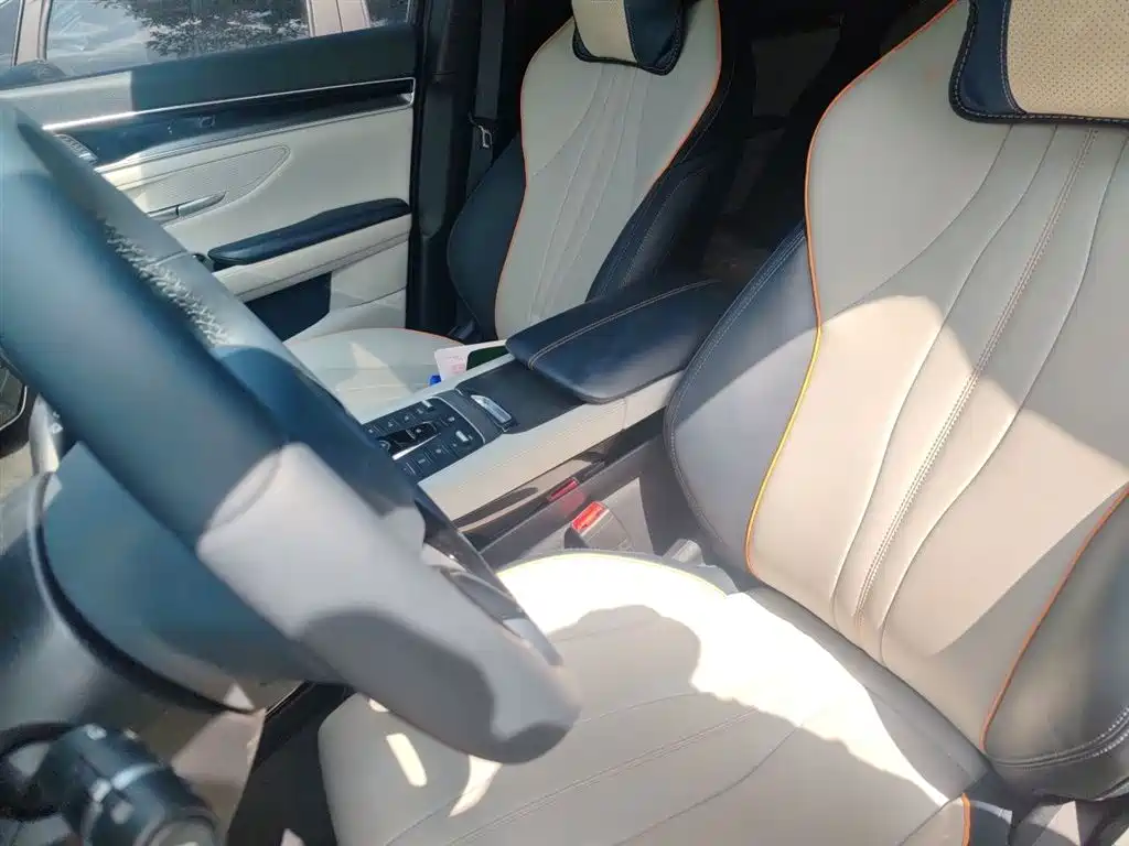 BYD Song PLUS PHEV 2021 DM-i 110KM Flagship фото 12