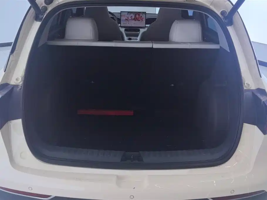 Geely Galaxy Starry Wish 2025 UP 410km Explorer Edition фото 4