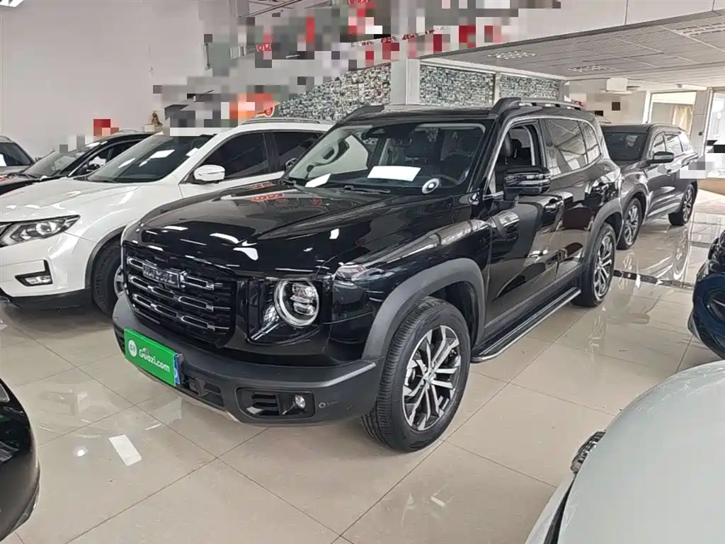 Haval Big Dog 2022 1.5T DCT FWD Border Collie Edition фото 2