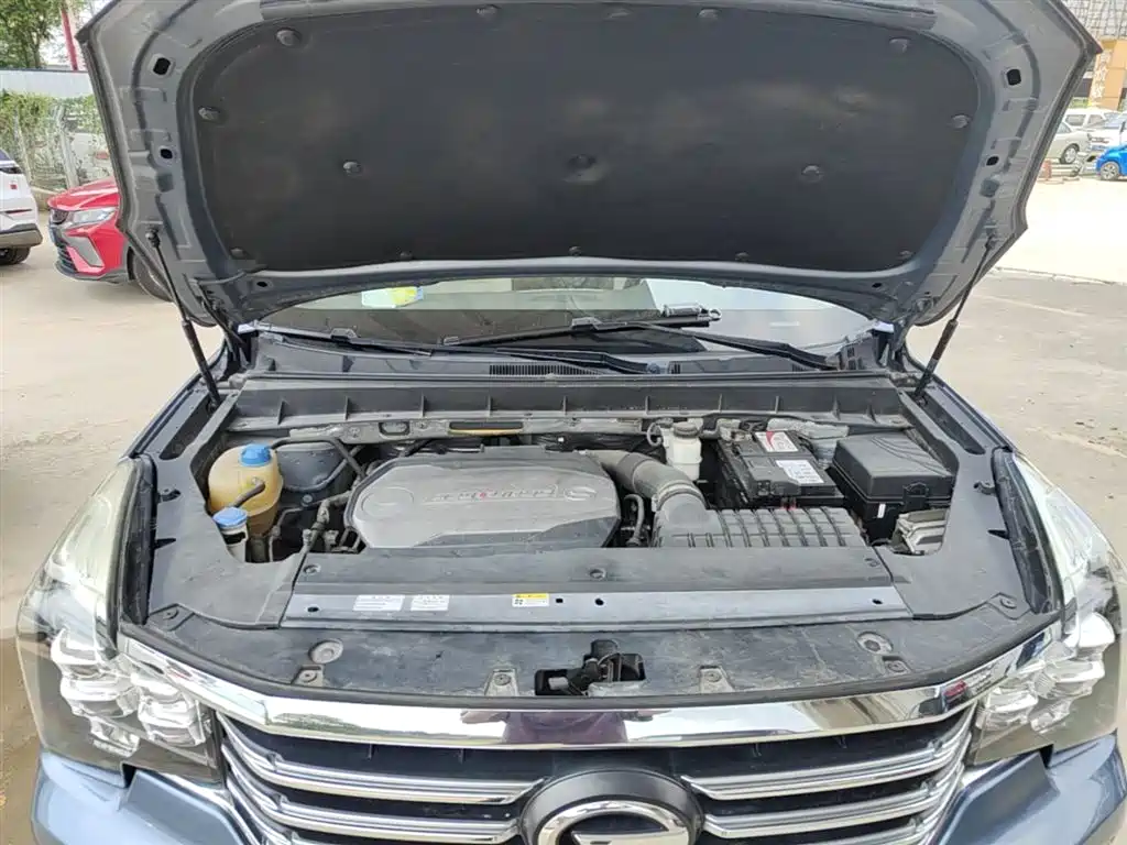 GAC Trumpchi Trumpchi GS8 2017 320T 2WD Luxury Smart Connect (7-seater) фото 20