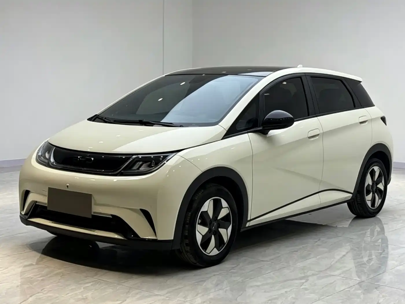 BYD Dolphin 2024 Glory Edition 420km Fashion Edition фото 2
