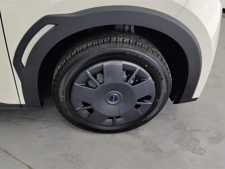 BYD Seagull 2025 Smart Drive Edition 305km Vitality Version фото 6