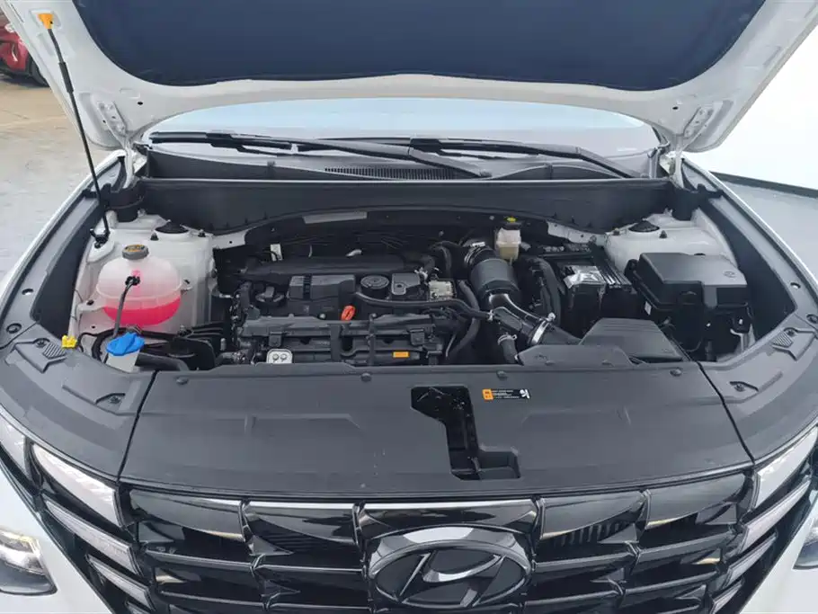 Hyundai Tucson 2021 Tucson L 1.5T DCT LUX Premium фото 10