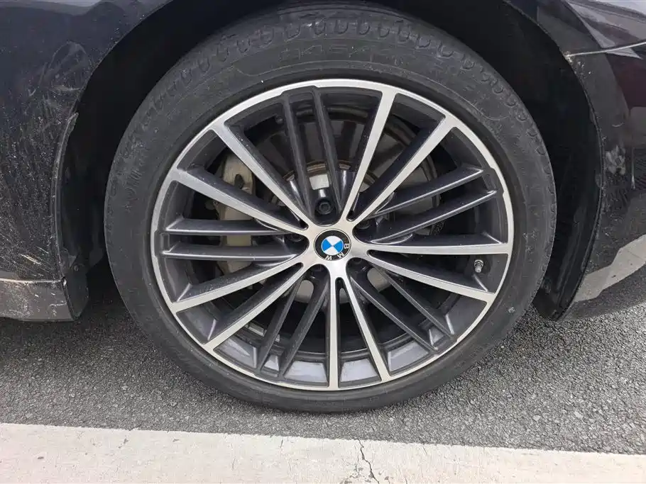 BMW 5 Series 2021 530Li Leading M Sport Package фото 6