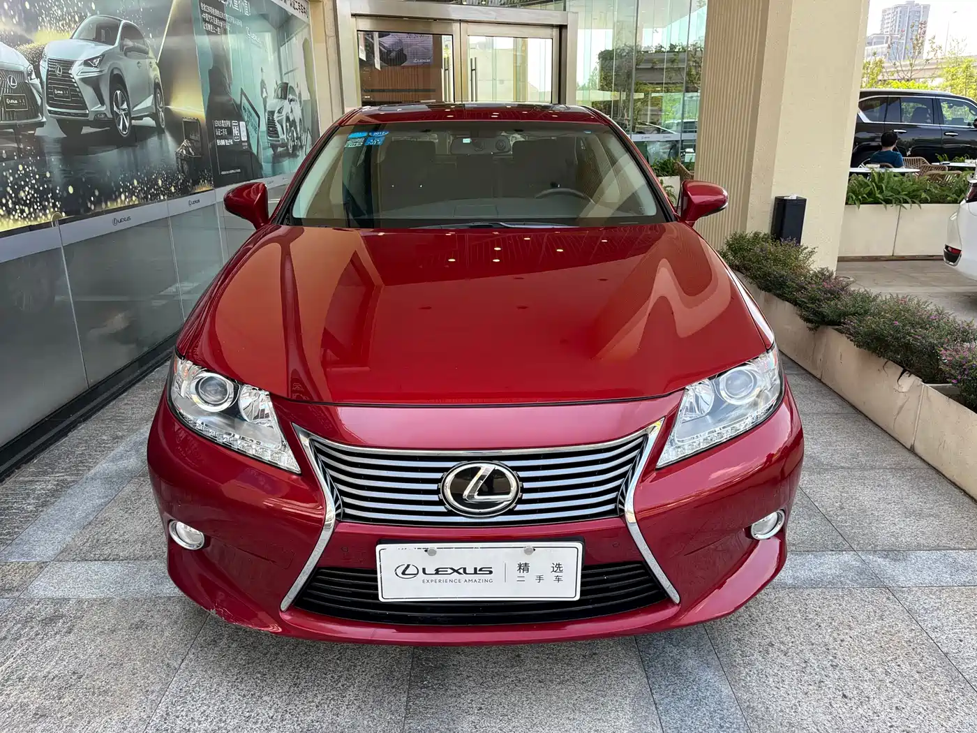 Lexus ES 2013 250 Elite Edition фото 2