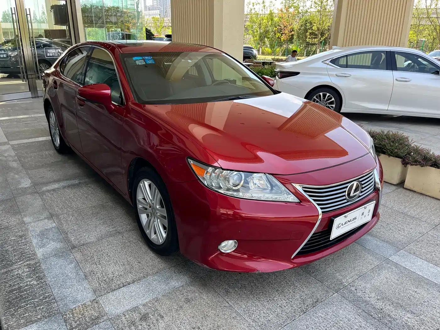 Lexus ES 2013 250 Elite Edition фото 3