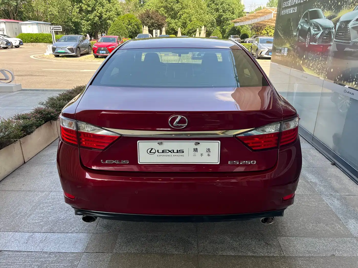 Lexus ES 2013 250 Elite Edition фото 6