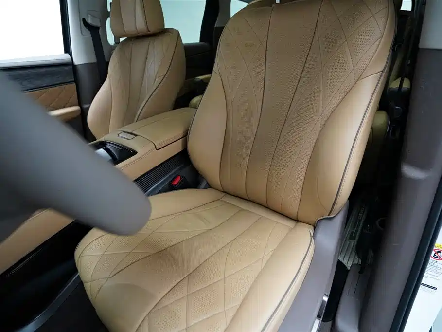Denza D9 2022 DM-i 1040 Premium фото 4