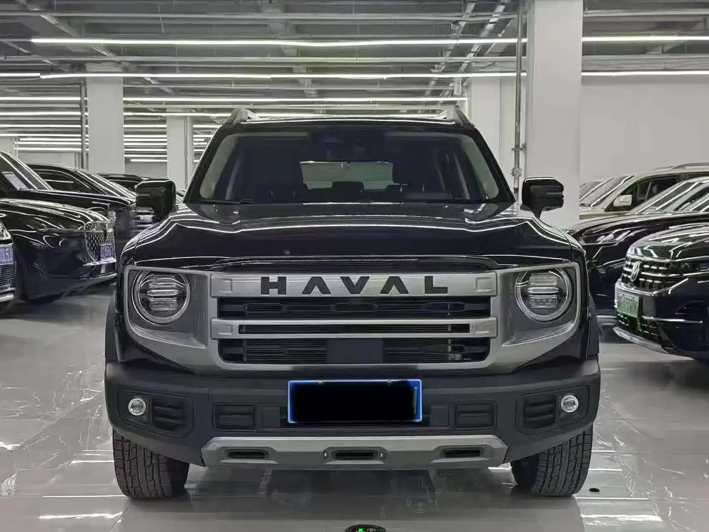 Haval Big Dog 2025 2024 1.5T DCT Border Collie Edition