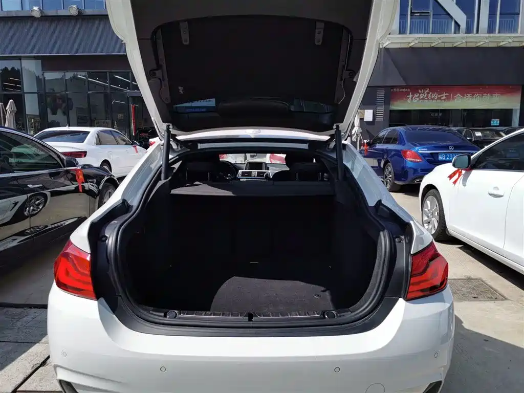 BMW 4 Series 2017 425i Gran Coupe Leading M Sport Package фото 15