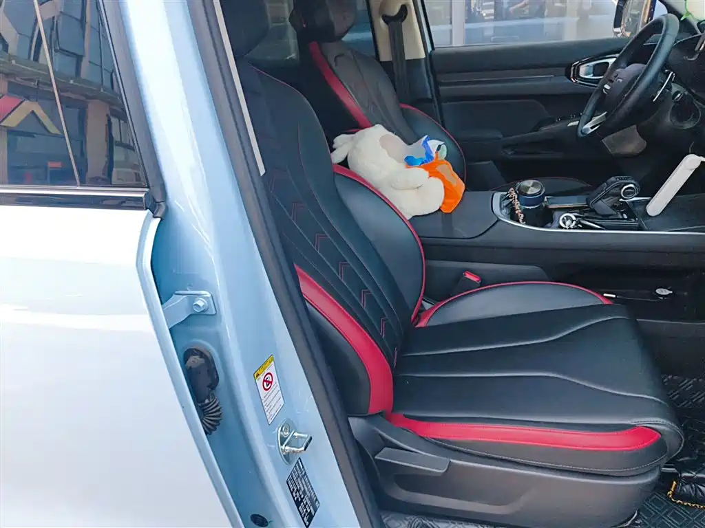 Haval Cool Dog 2022 1.5T DCT 2WD Trend Edition фото 25