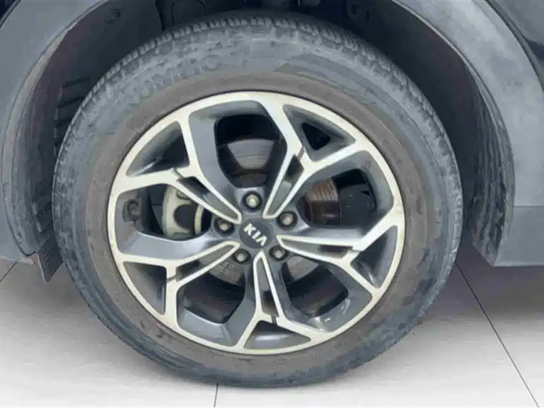 Kia KX5 2021 1.6T Automatic 2WD Luxury Version фото 4