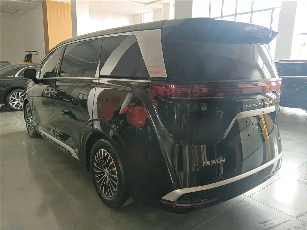 Denza D9 2024 DM-i 980 AWD Prestige фото 23