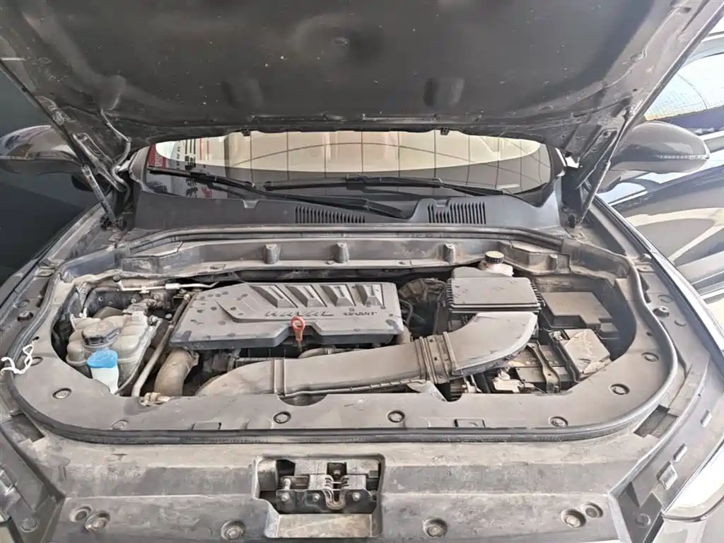 Haval F5 2019 National Trend Edition 1.5T iTrend China VI фото 20