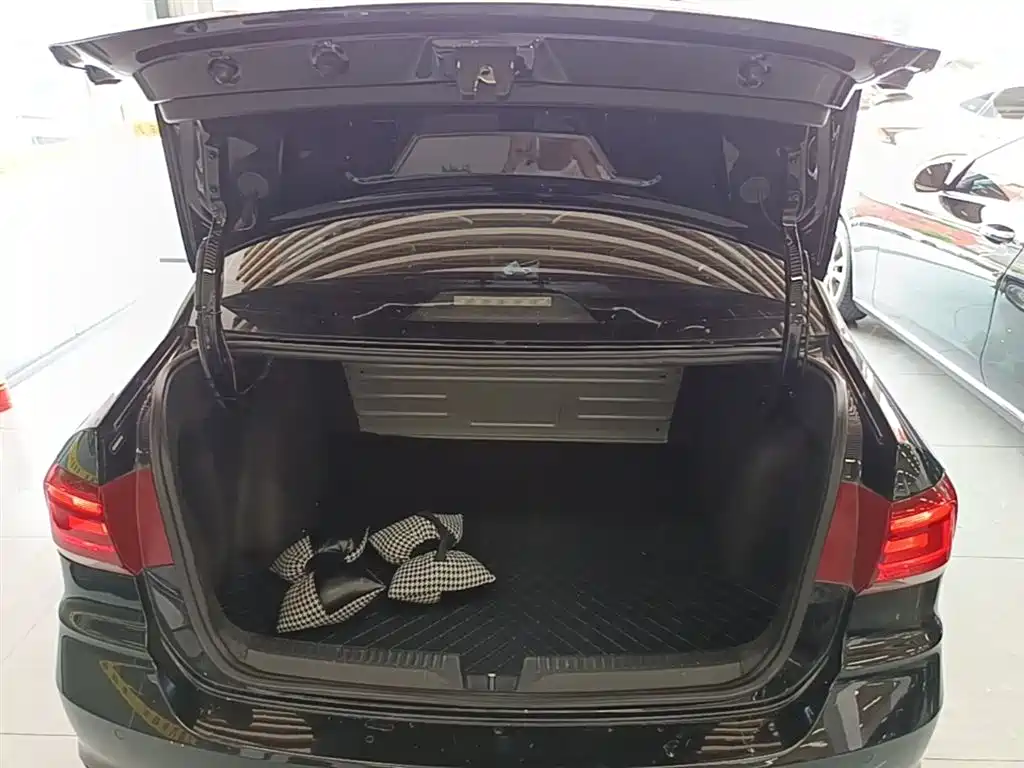 Volkswagen Santana 2016 1.6L Automatic Comfort Edition фото 19