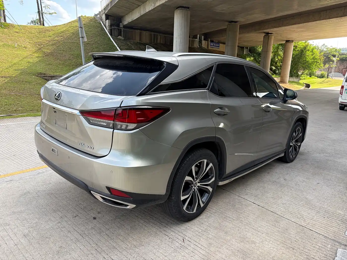 Lexus RX 2020 300 AWD Elegance Edition China V фото 10