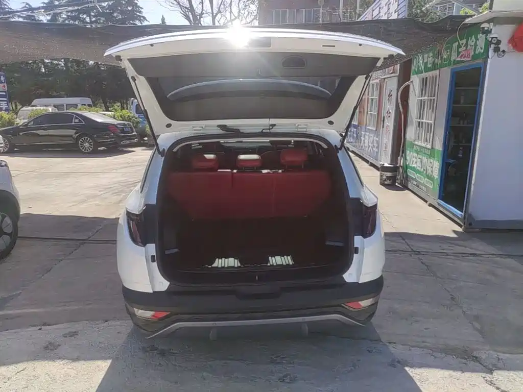 Hyundai Tucson 2023 Tucson L 1.5T Automatic 2WD GLX Elite Edition фото 19