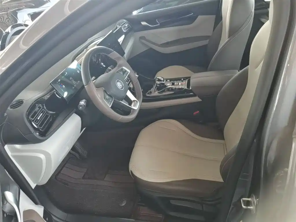 BYD Qin PLUS 2024 Glory Edition DM-i 55KM Leading фото 15