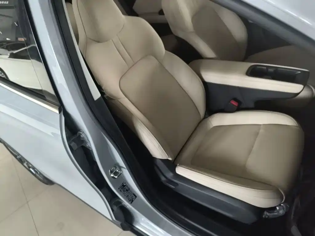 Wuling Motors Wuling Binguo PLUS 2024 2024 Model 330km 5-Seater