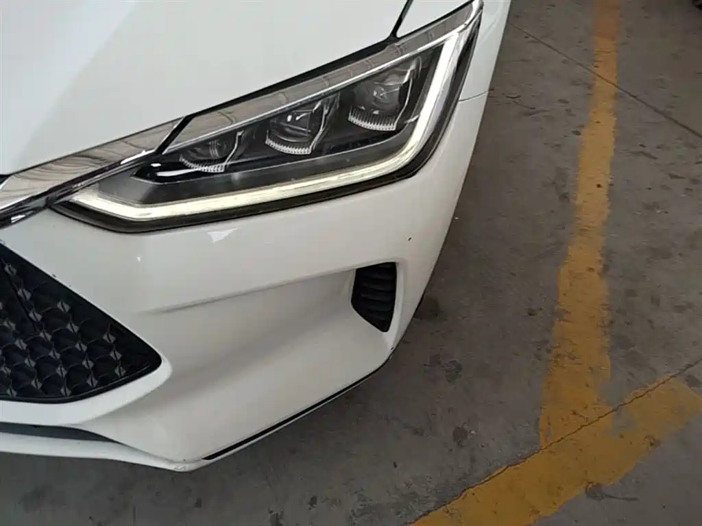 BYD e2 2021 Luxury Edition фото 24