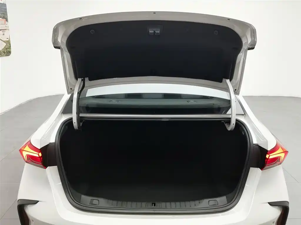 Buick Verano 2022 Pro GS Hurricane Edition фото 16