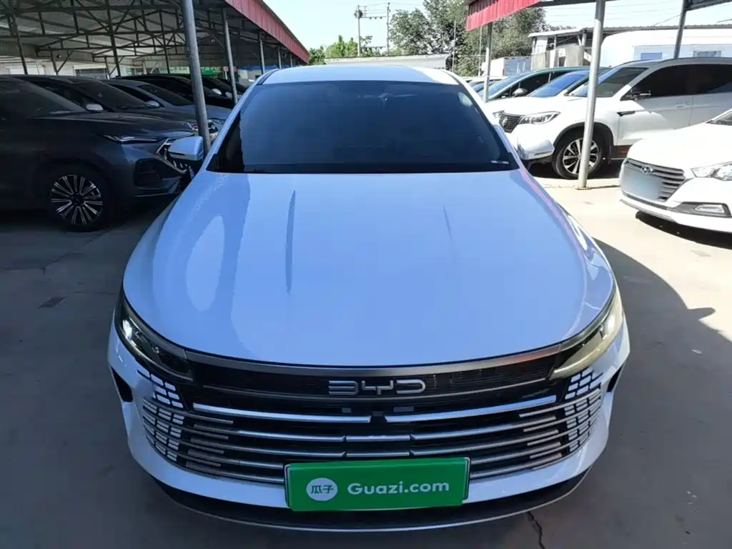BYD Destroyer 05 2024 Glory Edition DM-i 55KM Luxury фото 3