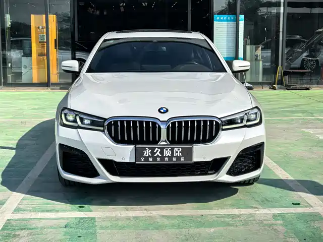 BMW 5 530Li, Лидер, Люкс-пакет