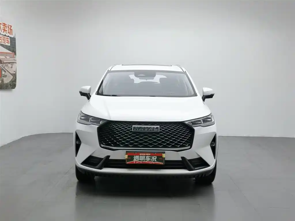 Haval H6 2021 3rd Generation 2.0T Auto AWD Max фото 3