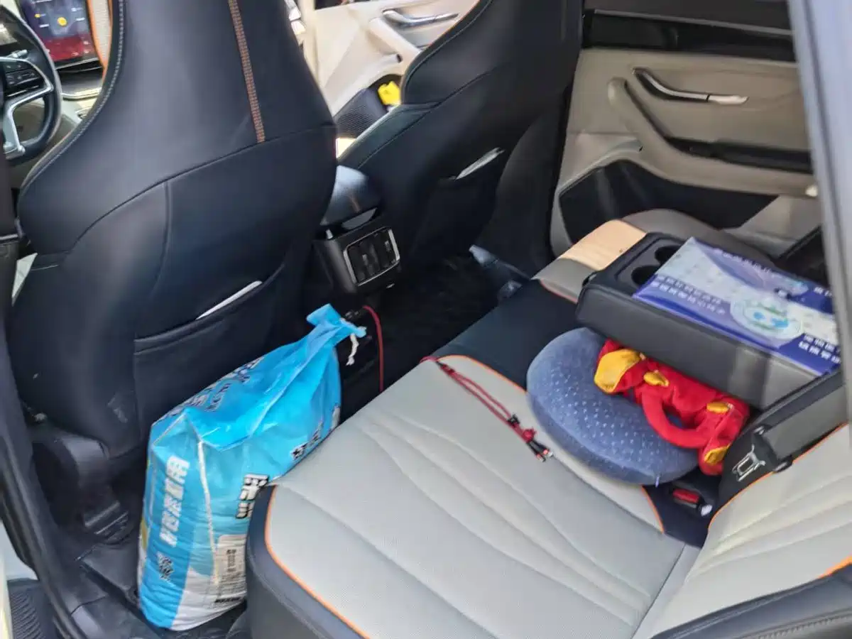 BYD Song PLUS PHEV 2021 DM-i 110KM Flagship фото 14