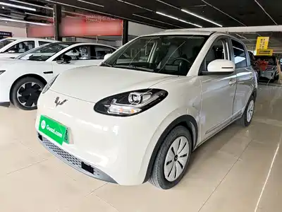 Wuling Bingo