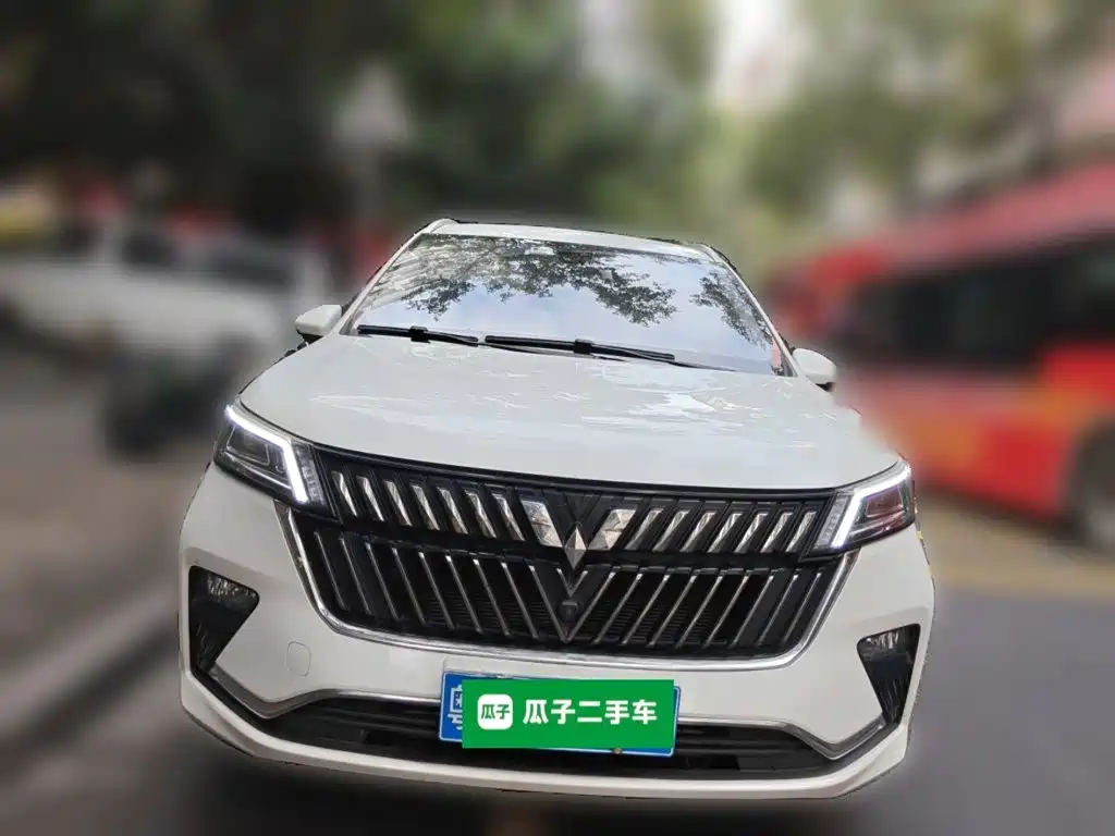 Wuling Motors Wuling Jiachen 2023 2022 1.5T CVT Exclusive Flagship Model