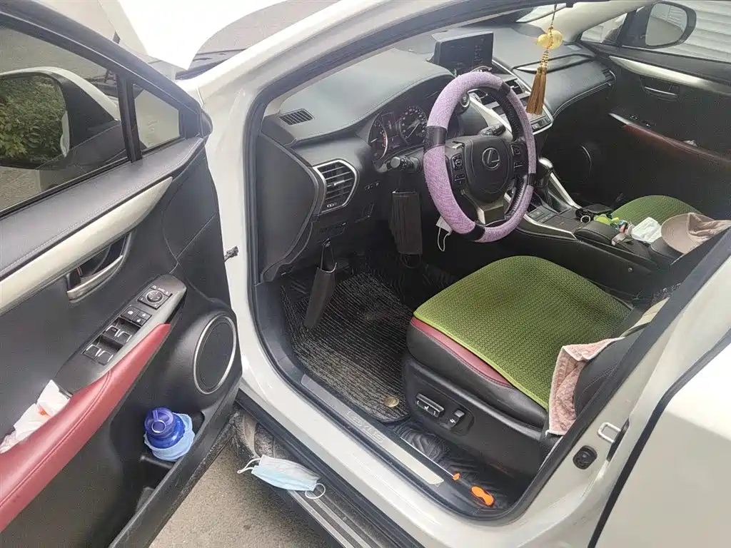 Lexus NX 2020 200 FWD Fengyi Edition China VI фото 14