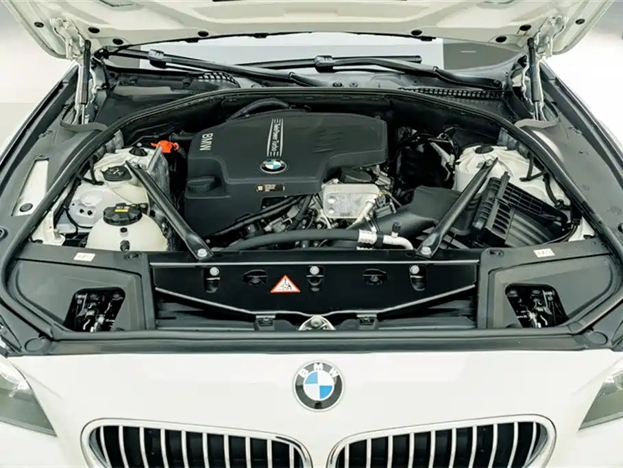 BMW 5 Series 2014 525Li Leading фото 25