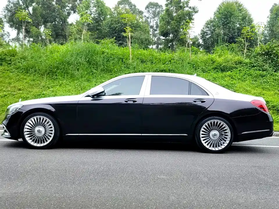 Mercedes-Benz S-Class 2018 S 350 L фото 4