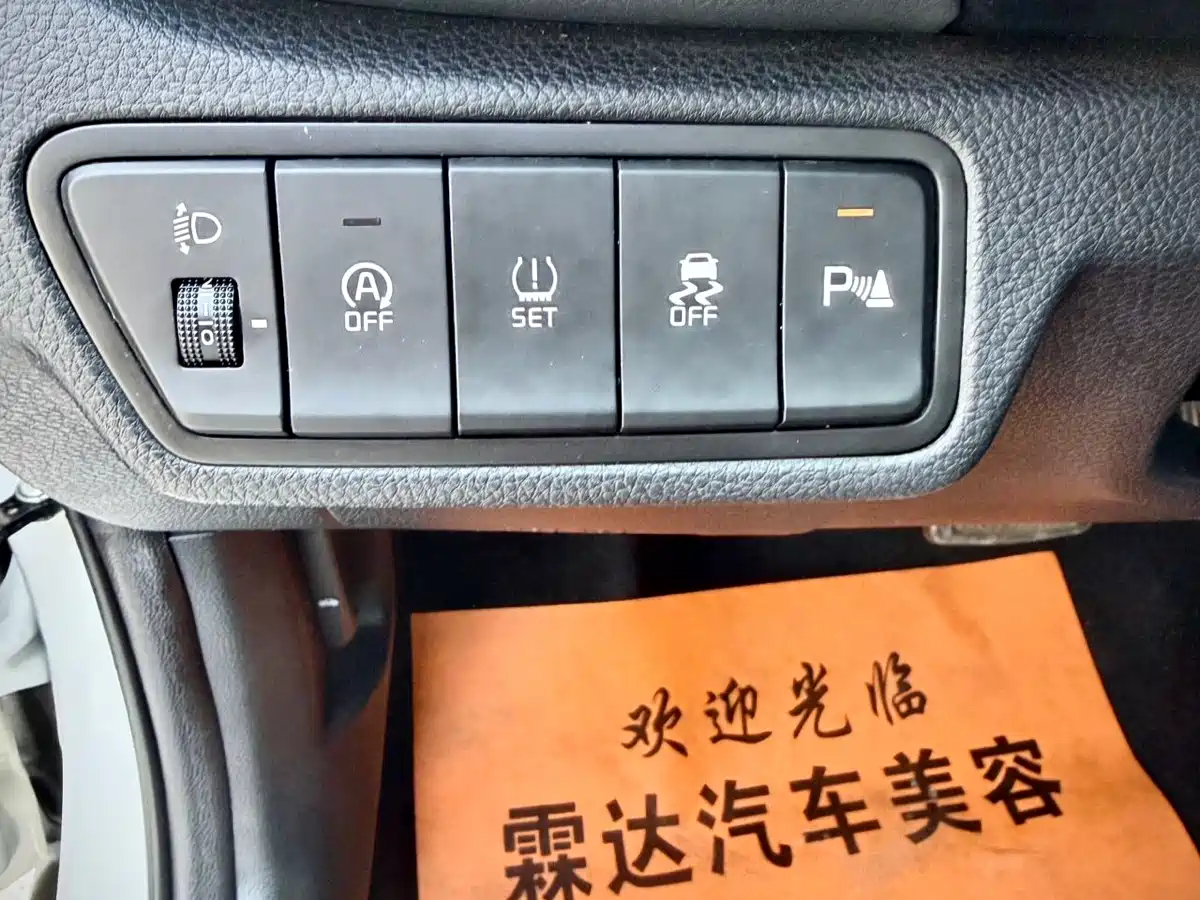 Kia Seltos 2023 1.5L CVT Luxury Edition фото 24