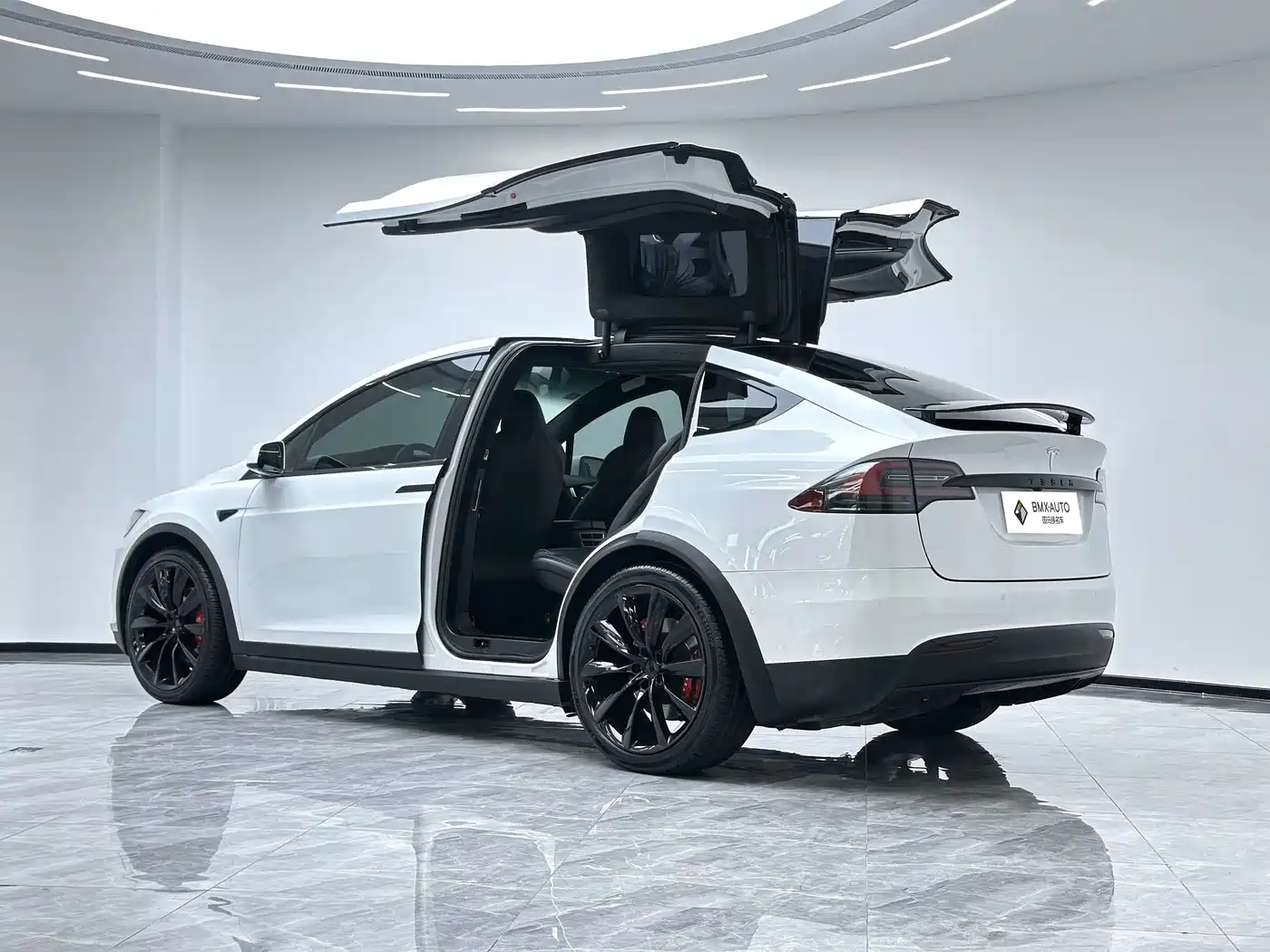 Tesla Model X 2017 2016 Model X P100D Performance
