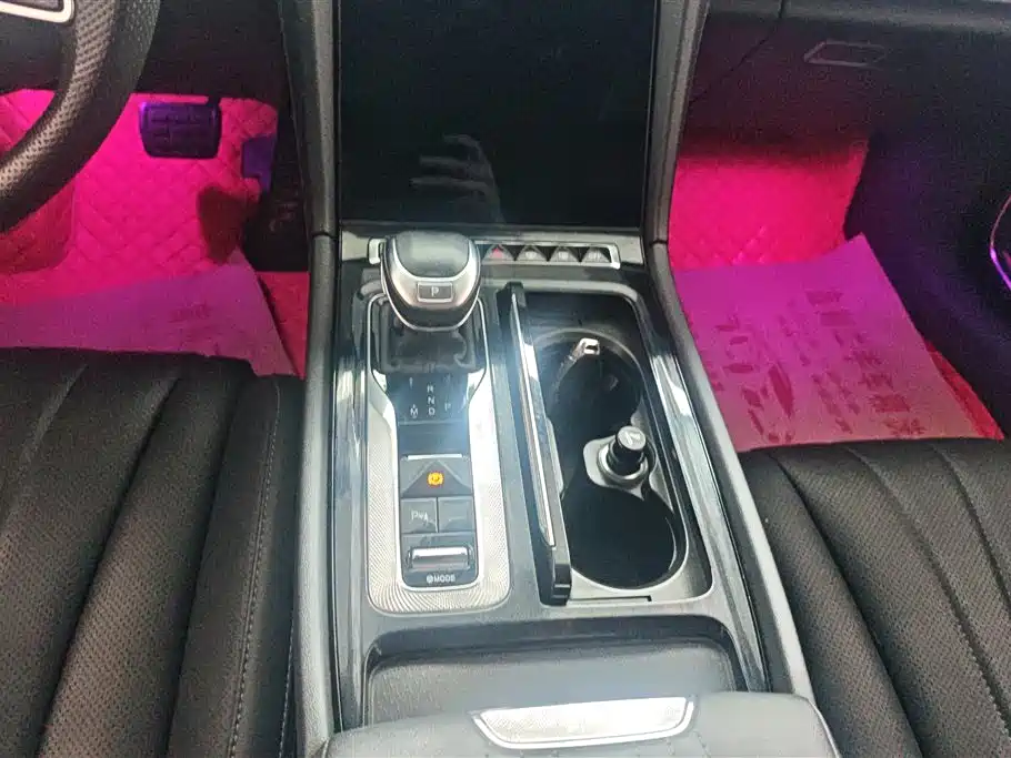 Hongqi H5 2023 2.0T Auto Smart Connect Flag Comfort фото 16