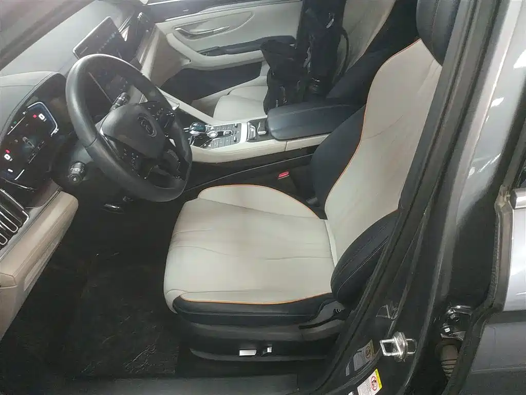 BYD Song PLUS PHEV 2021 DM-i 110KM Flagship фото 11