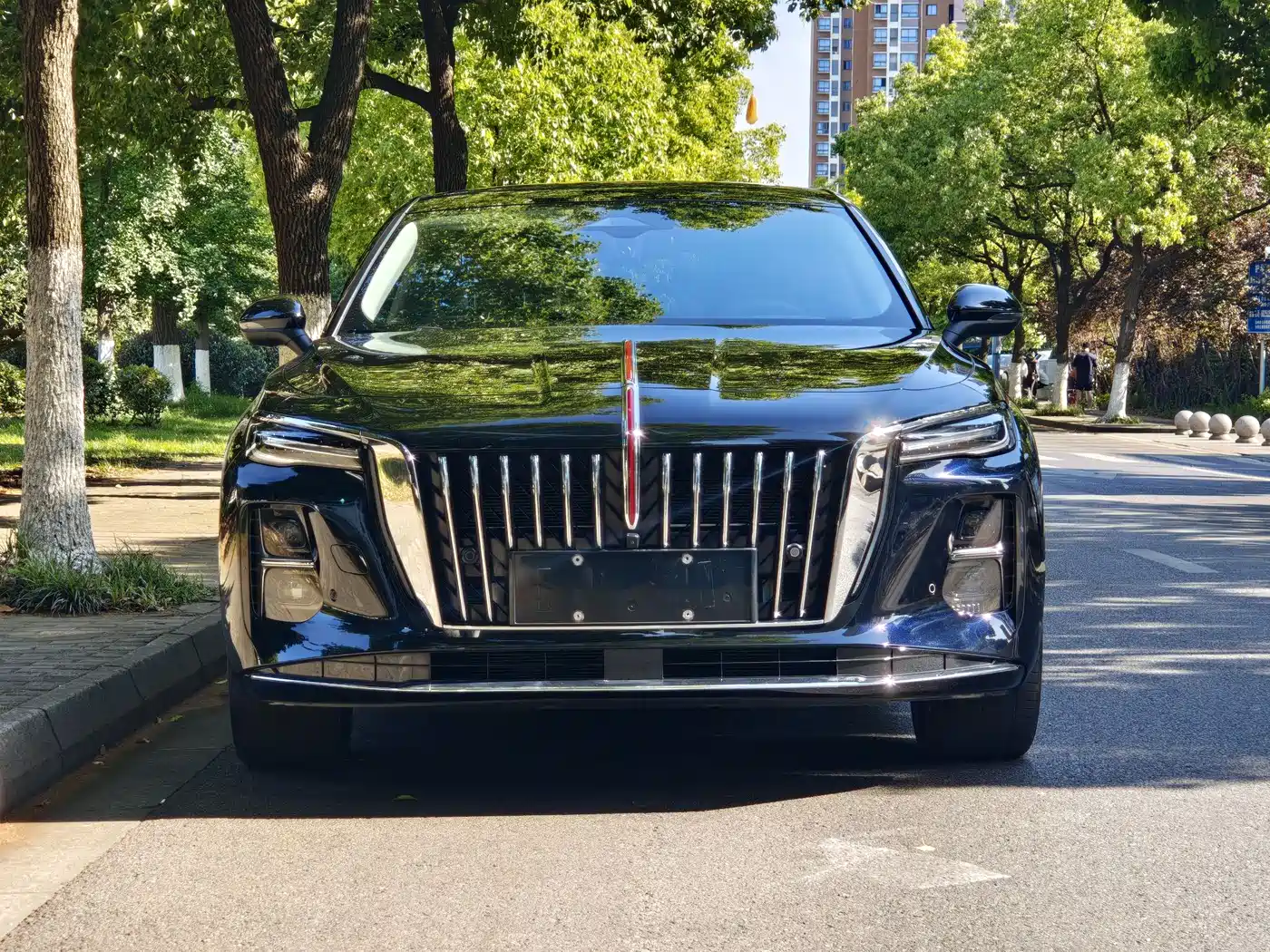 Hongqi H5 PHEV 2025 170 Super Hybrid Edition фото 2