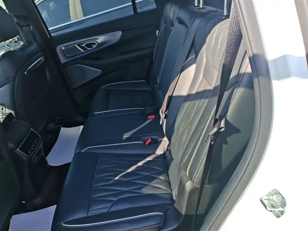 GAC Trumpchi Trumpchi GS8 2022 Pilot Series 2.0TGDI 2WD Premium Edition (7-Seater) фото 17