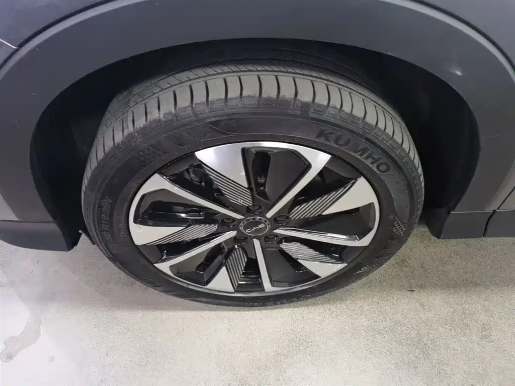 BYD Song PLUS PHEV 2025 DM-i 112KM Honor фото 23