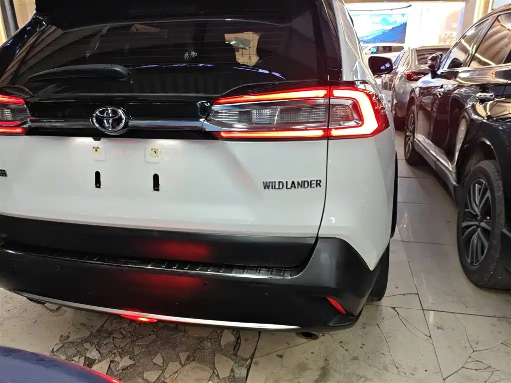 Toyota Wildlander 2020 2.0L CVT 2WD Tech Edition фото 8