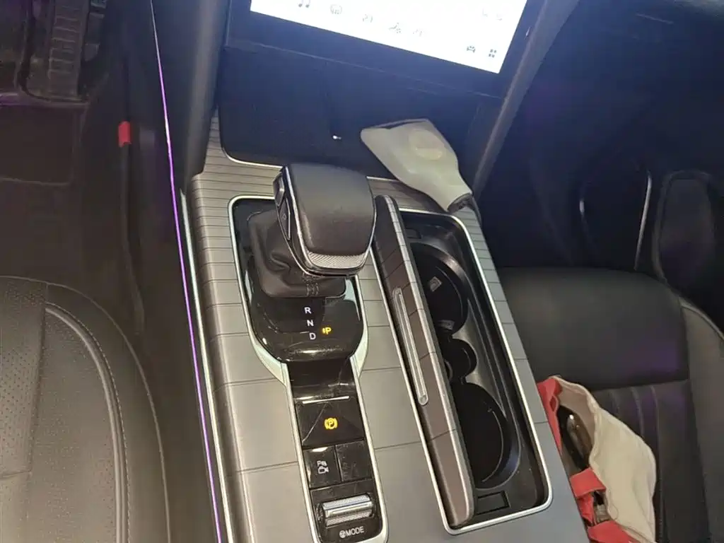 Hongqi HS7 PHEV 2024 2.0T PHEV 4WD Flagship Edition 6-seater фото 14