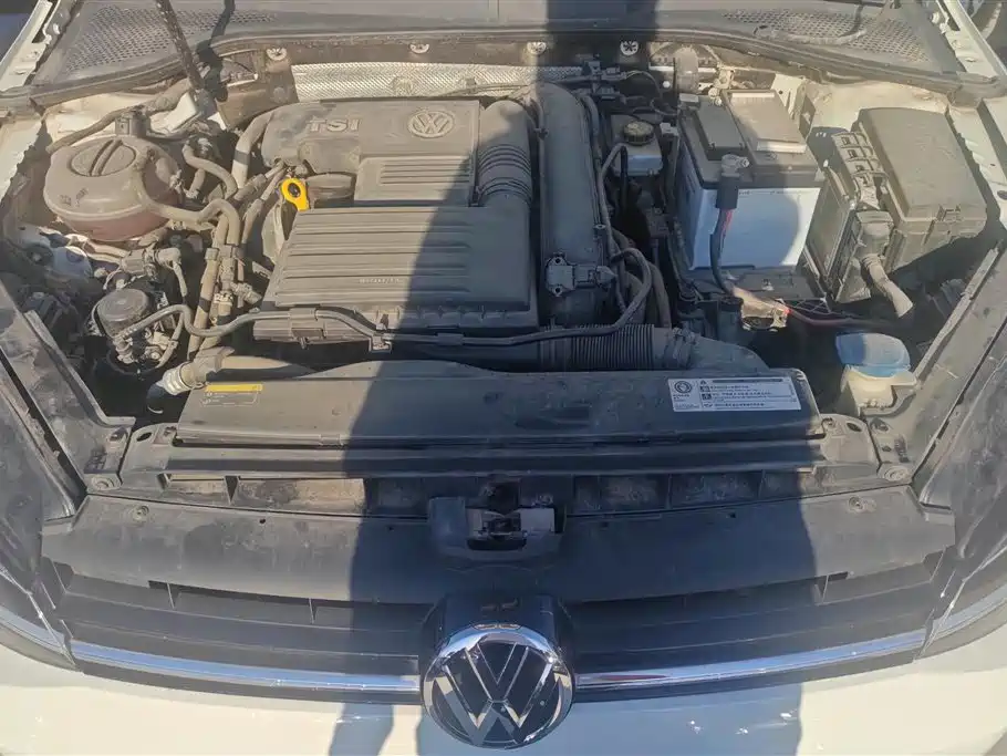 Volkswagen Golf 2019 200TSI DSG Comfort Progressive China VI фото 10