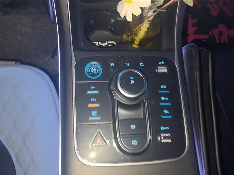 BYD Destroyer 05 2024 Glory Edition DM-i 55KM Luxury фото 16