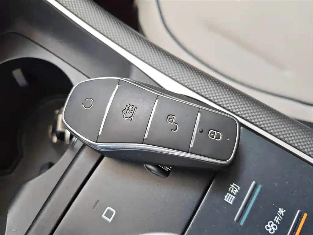BYD Destroyer 05 2024 Glory Edition DM-i 120KM Luxury фото 11