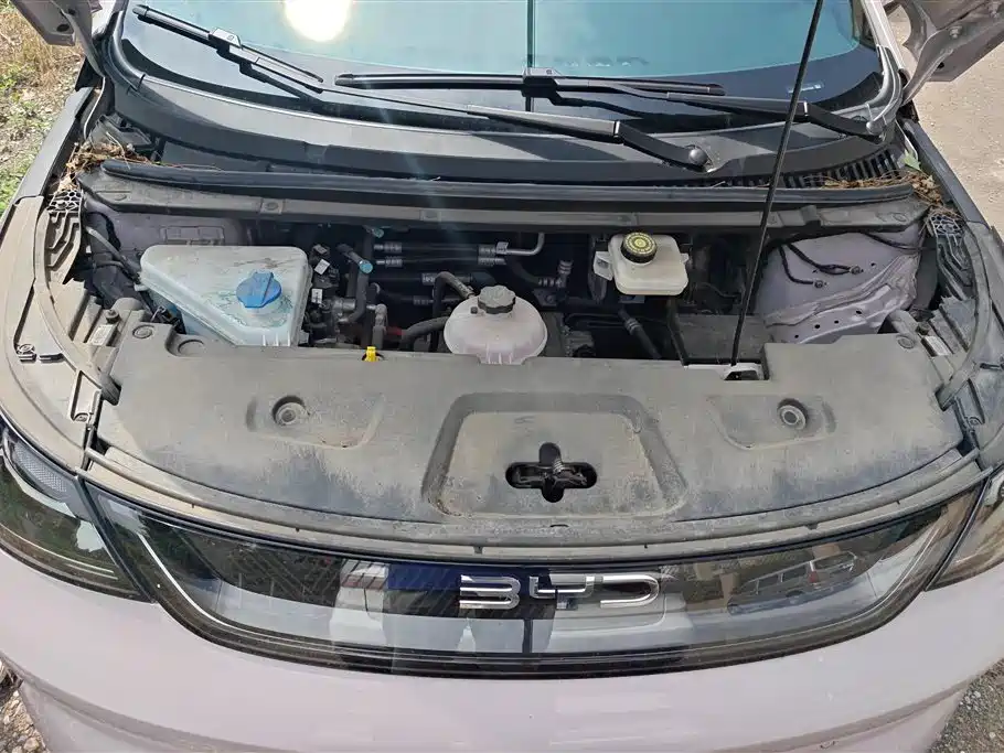 BYD Dolphin 2025 Smart Drive Edition 420km Freedom Version фото 10