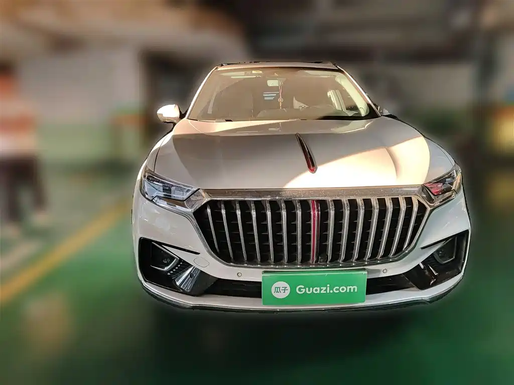 Hongqi HS5 2019 2.0T Smart Connect Enjoy Edition фото 24