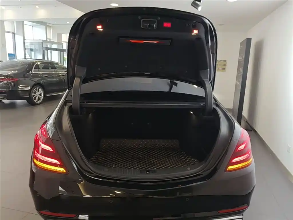 Mercedes-Benz S-Class 2020 S 350 L Premium Edition Collector's Version фото 19