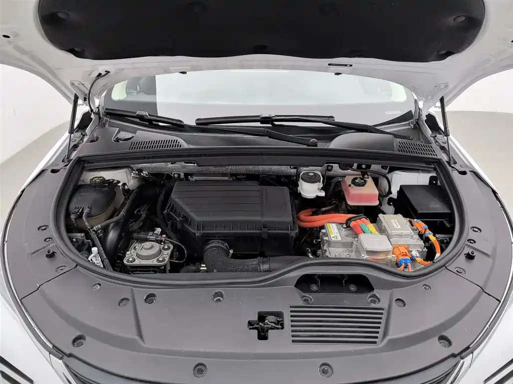 BYD Tang New Energy 2018 DM 2.0T AWD Smart Connection Enjoy Edition 7-Seater China V фото 6